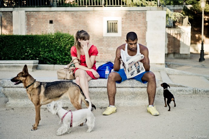 Madrid couple dogs
